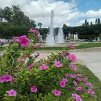 Ben Hsine Heykel - Facebook