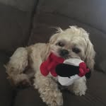 Ben Heyman - @ben_is_cool_77 - Instagram