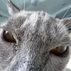 Ben - @benholliday563 - TikTok