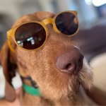 Ben Holstein - @benny_the_red - Instagram