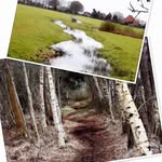 Benny Holtrop - @bennyholtrop - Instagram