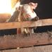 Ben Hoppe - Facebook