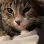 @ben_huckleberry_3 - Instagram