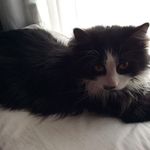 Ben Huffman - @cjdfjfsjgjjgsg - Instagram
