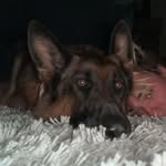 Ben Huffman - @benhuffman_n - Instagram