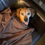 Ben Hunsicker - @ben_hunsicker - Instagram