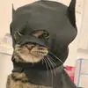 Underground_Rat - @benhunsicker - TikTok
