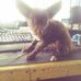Benjamin Hursh - Facebook