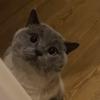 Ben - @ben.hurwitz - TikTok