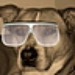 Ben Hurwitz - @dumdog808 - Instagram