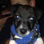 Ben Huskinson - @ben_huskinson_2004 - Instagram