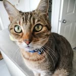 ben hyatt - @benhyatt008 - Instagram