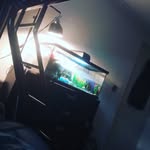 Ben Hyatt - @benhyatt2018 - Instagram