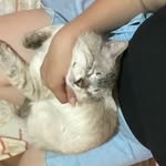 @beni.hde - Instagram