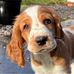 Ben Imhoff - Facebook