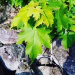 Benjamin Imhoff - @iofthenorth - Instagram