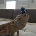 Ben Isaacson - Facebook