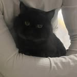Benyamin Tahmasebi - @benislash59 - Instagram