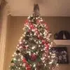benrisley - @benrisley - TikTok