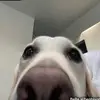 Ben Ison - @benjamin.ison - TikTok