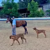 Benja Farias - @benjafarias_8 - TikTok