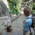 Ben Jaffe - @jaminjaffe - Instagram