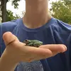 Ben Jaffe - @benjaffe5 - TikTok