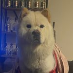 JAGER - @ben.jagerofficial - Instagram