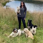 Abby,Coco,Ben,Roma&Jagger - @abby_coco_ben_roma_jagger - Instagram