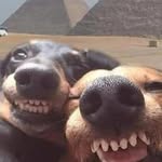 ben - @benjahnke2011 - Instagram