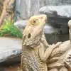 Ben Jahnke - @ben.mtb05 - TikTok