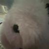 Ben_jakes629 - @ben_jakes777 - TikTok