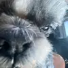 benjam_27 - @benjam_27 - TikTok