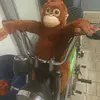 2takt_Pttdt - @benjamal025 - TikTok