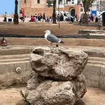 Benjamal Mariem - @mariem_benjamal1 - Instagram