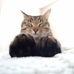 Ben Jameson - @benjameson2019 - Instagram