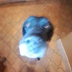 benjarman - @ben_jar_man - Instagram