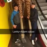 Ben Kealy - @ben_kealy9 - Instagram