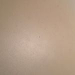 Ben Keener - @ninaspamsl2 - Instagram