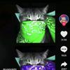 user3552962383189 - @benkehling10 - TikTok
