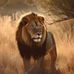 Ben Kenny - Facebook