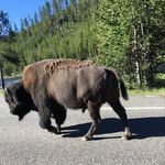 Ben Kilgore - @kilgore4012 - Instagram