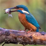 Ben Kirby Photography - @benkirbyphotography - Instagram
