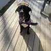 Ben Kissel - @ben.kissel7 - TikTok