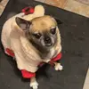 Bentleykissel24 - @bentleykissel - TikTok