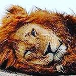 Benjamin Knauer - @9393benjamin - Instagram
