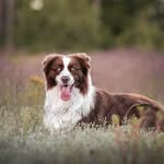 Benjamin Knauer - @benjaminknauer - Instagram
