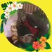 Ben Koch - Facebook