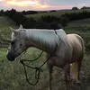 Ben Kohl - @benkohl4 - TikTok