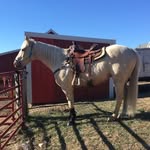 Ben Kohl - @benkohl1 - Instagram